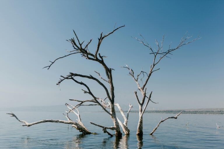 pexels julia volk 5273088