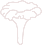 hongos noun
