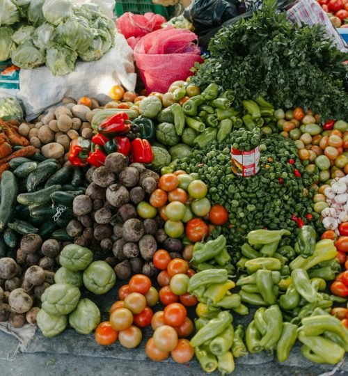 pexels julia volk 5273080 (1)