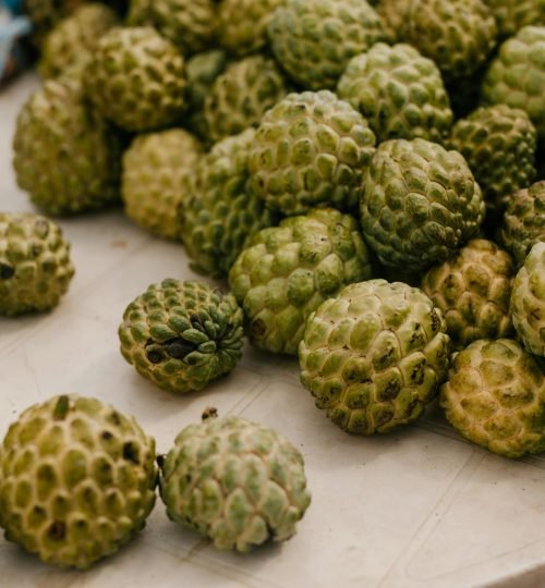 pexels julia volk 5273122