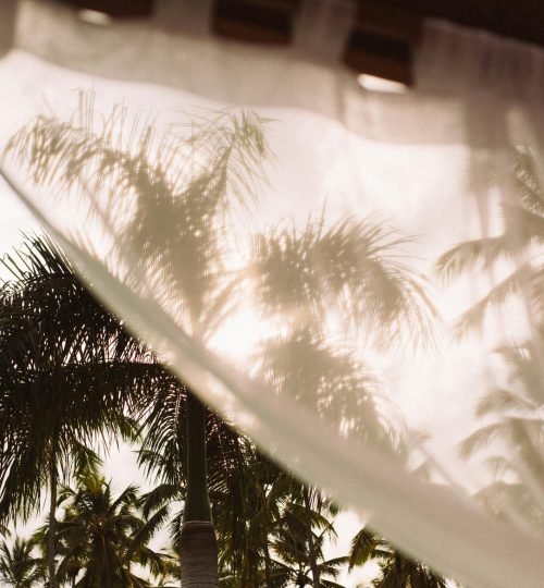 pexels lstan 2252318